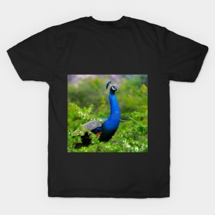 PEACOCK DESIGN T-Shirt